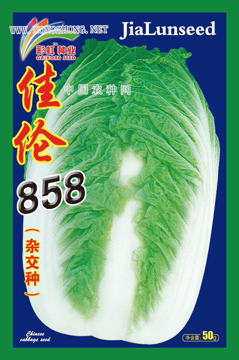 佳伦858